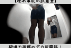 【秘め事OLの試着室】破壊力抜群のデカ尻降臨!タイトスカートの下に隠された禁断のヒップライン