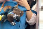 アイドル顔×下半身ゴリッゴリ筋肉脚ちゃん再会!至近距離でエロももねっとり接写
